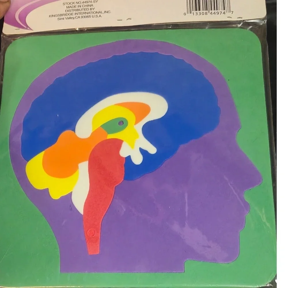 Childs Educational Foam Puzzle Set 4pk US Map Skeleton Brain Digestive System